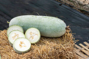 Benefits of Drinking Ash Gourd Juice