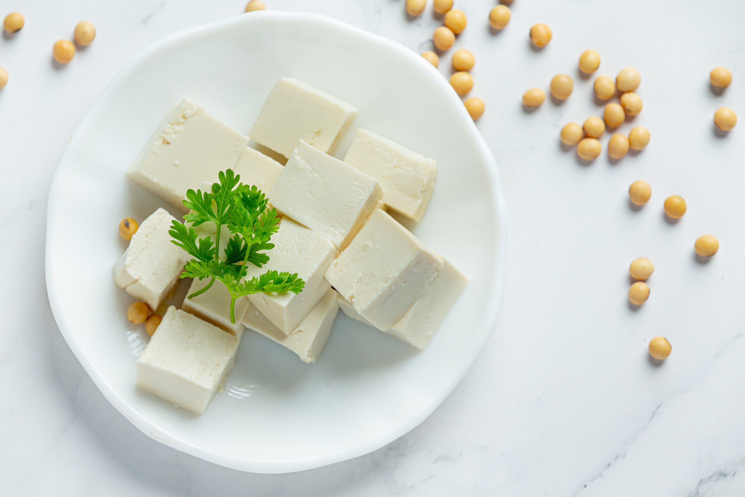 Tofu: Plant-Based Protein Power