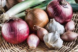 Onion and Garlic Duo