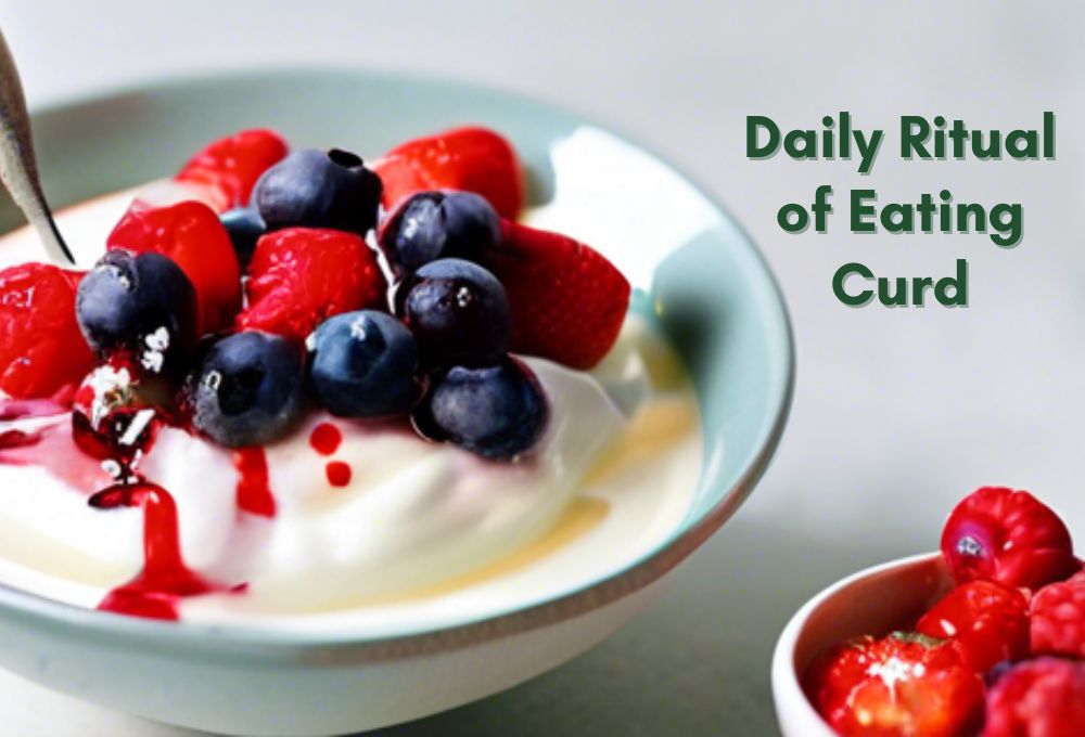 Yogurt Magic: Transform Your Health with the Daily Ritual of Eating Curd