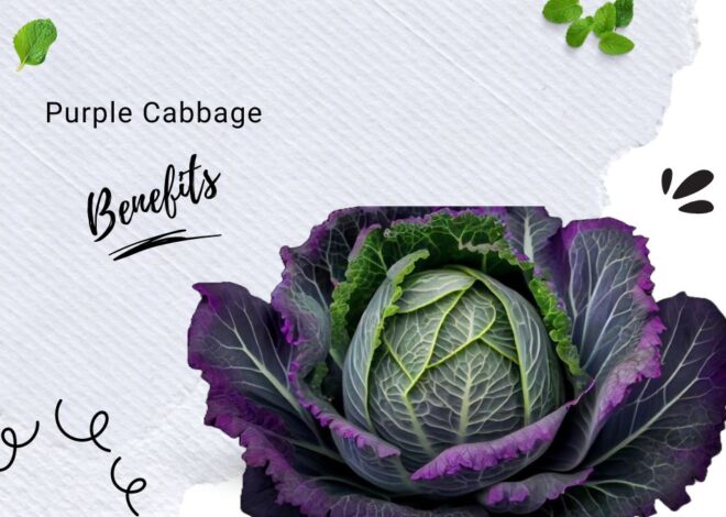 Unveiling the Superpowers: 8 Impressive Benefits of Purple Cabbage You Never Knew!