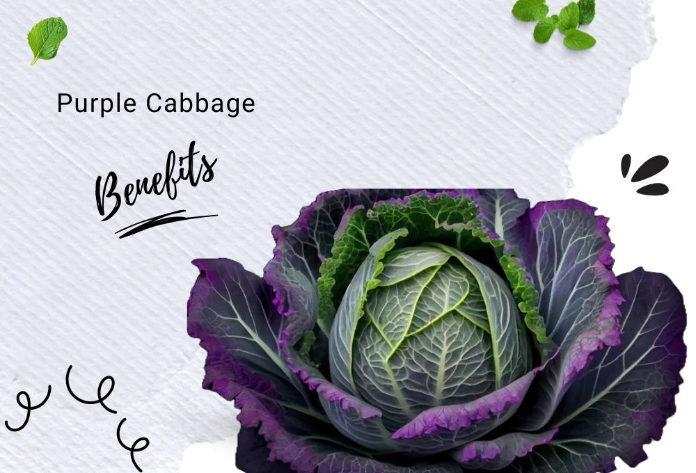 Unveiling the Superpowers: 8 Impressive Benefits of Purple Cabbage You Never Knew!